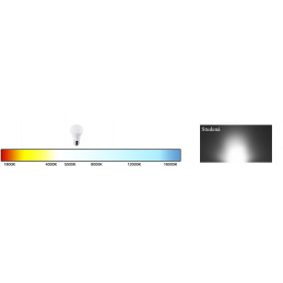 LED trubice - T8 - 18W - 120cm - 1800Lm - CCD - J2 - studená bílá
