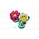 LEGO® Botanicals 11511 Lekníny