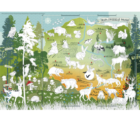 Mapa "Zvířata Polska" - vzdělávací omalovánky